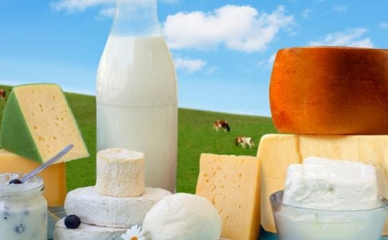 Do Dairy Foods Cause Mucus Production?