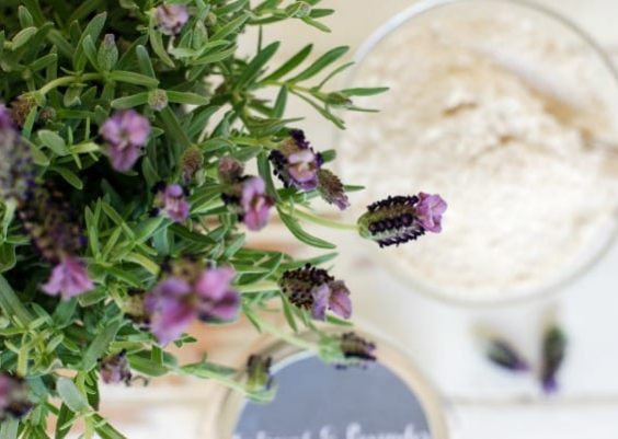 Exfoliating Facial Scrub Recipe with Lavender and Oatmeal